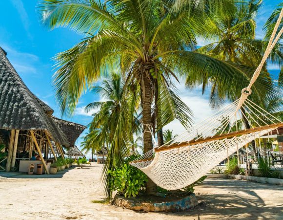 Your Ultimate Beach Holiday with Dalia Expeditions