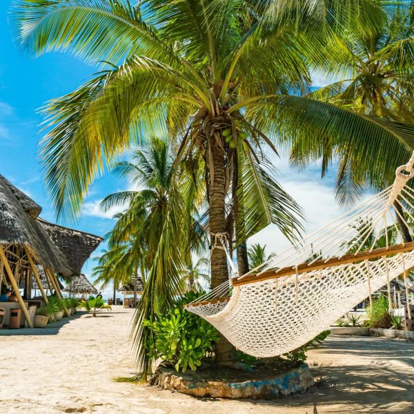 Your Ultimate Beach Holiday with Dalia Expeditions