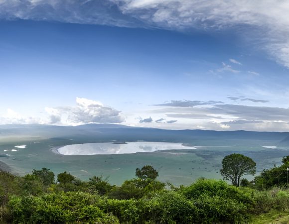The best 5 Days Tanzania wildlife Safari 2026/2027