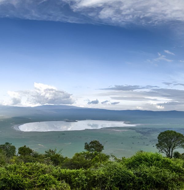 The best 5 Days Tanzania wildlife Safari 2026/2027