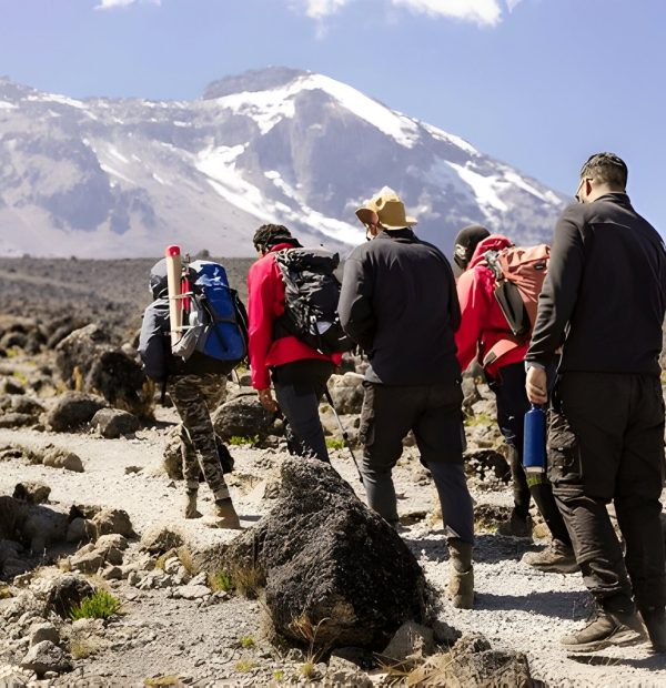 The best 9 Days Lemosho–Shira Route Kilimanjaro Climbing 2026/2027