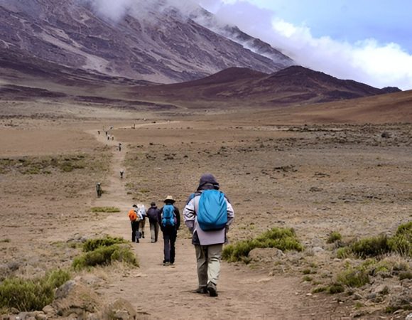 The best 6 Days Machame Route in 2026/2027