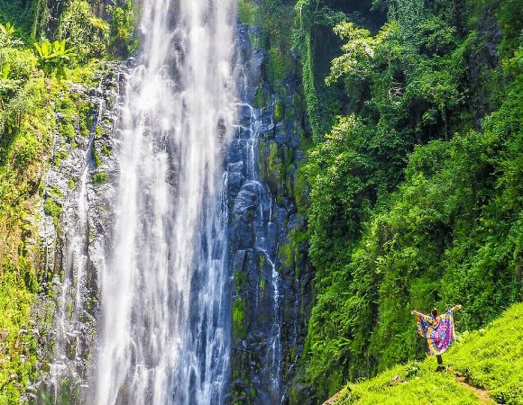 The best 1 day Materuni Waterfalls & Cofee Tour 2026/2027