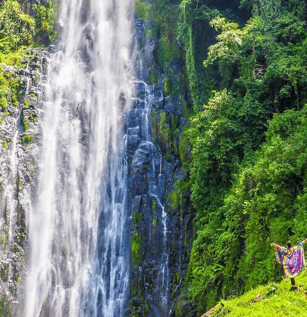 The best 1 day Materuni Waterfalls & Cofee Tour 2026/2027