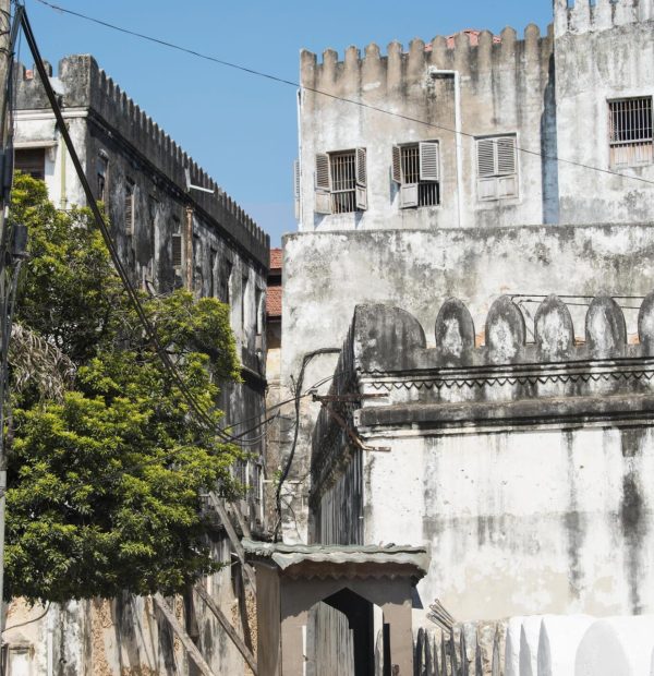 The best 12 Days Honeymoon – Zanzibar 2026/2027