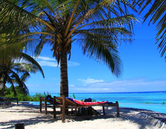 The best 13 Days Zanzibar – Wildlife Safari 2026/2027
