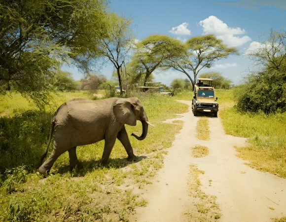 6-Day Private Wildlife & Cultural Tourism