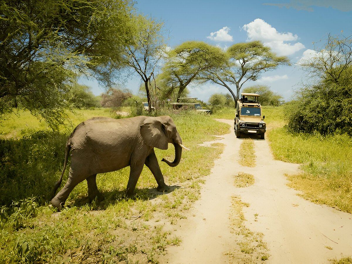 6-Day Private Wildlife & Cultural Tourism